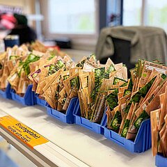 Bild von mehreren kleinen Kästen mit vielen Papier-Samentütchen.