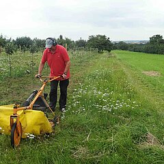 Bild von einer Person, die mit großem Mäher auf einer Wiese mäht.